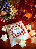 Wintertime Love - Mistletoe and Spruce - Retro Vegan Christmas Wax Melts